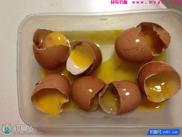 变废为宝 臭鸡蛋巧做鲢鳙一绝饵料(图1)