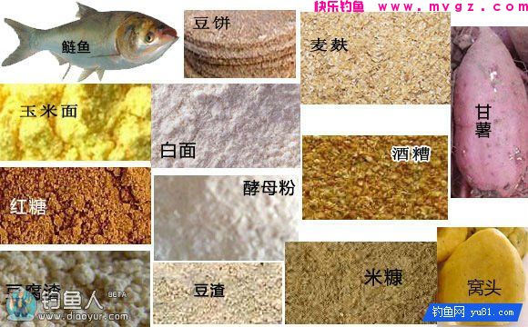 自制9种常用的鲢鳙饵料配方原材料(图1)