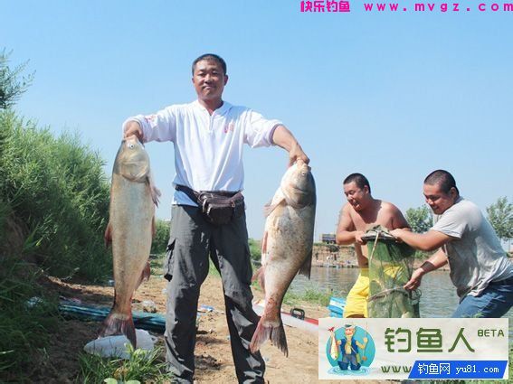 自制钓鲢鳙酸臭饵料的制作详解 [附大鱼图片](图5)