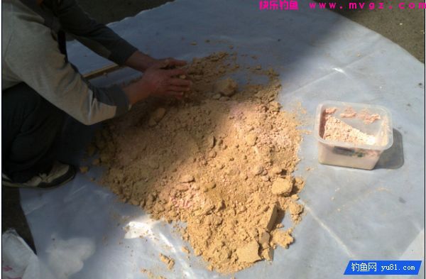 自制商品鲢鳙饵料配方(啤酒发酵)图文介绍(图3)