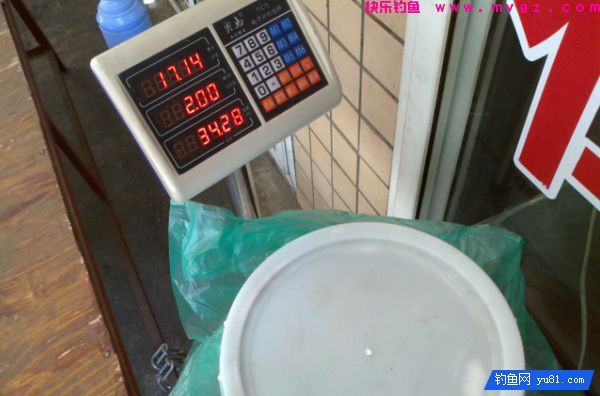 自制商品鲢鳙饵料配方(啤酒发酵)图文介绍(图9)