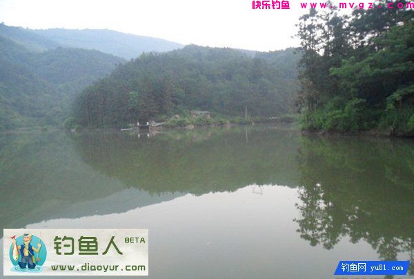 特效鲢鳙钓饵兼杀草鱼鲤鱼大个体鲫鱼介绍(图8)