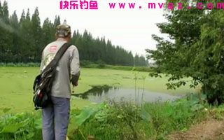 自制飞钩钓鲢鳙的硬饵详解
