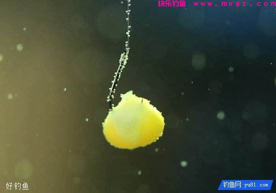 钓鱼怎么挂饵？露出钩尖好还是不露出好(图3)