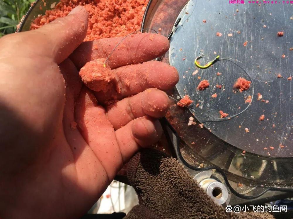 钓鲢鳙该不该打窝？这2种方法都可以，关键在于饵料状态的调整(图1)