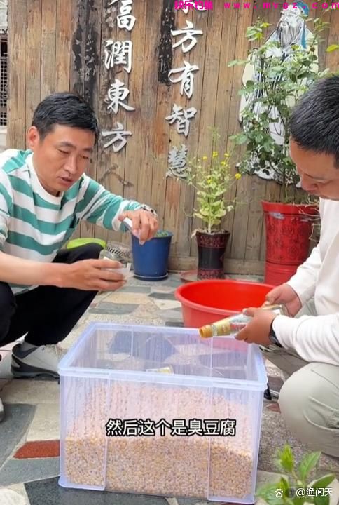 鲢鳙窝料到底如何，天元邓刚、李震、刘松松教你如何打窝(图3)