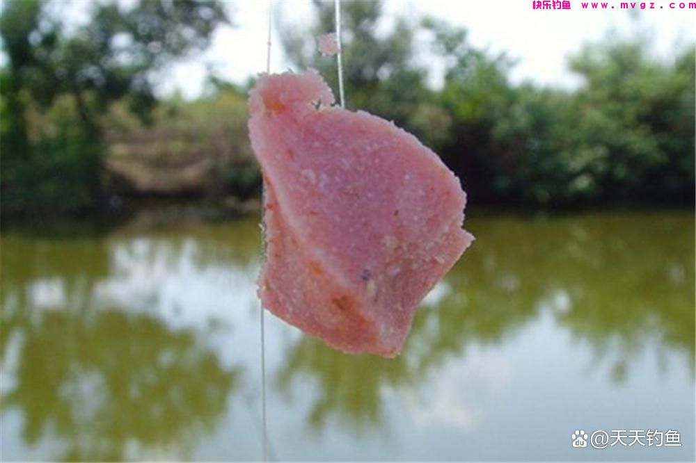 浮钓鲢鳙，如何选漂和调漂？出现这些漂相都能中鱼(图3)