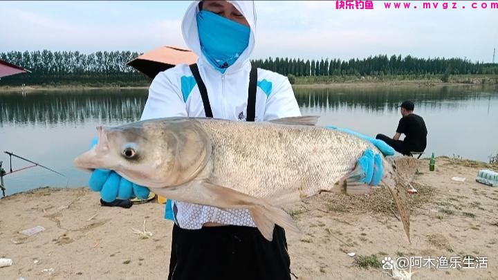 钓鲢鳙从什么时候开始找水层？(图1)