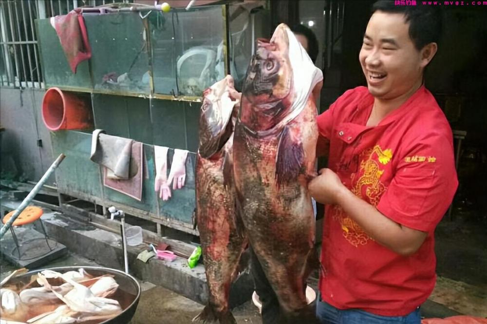 新手钓鲢鳙从这篇文章开始，分5个方面讲明白，学会就不要锚鱼了(图9)
