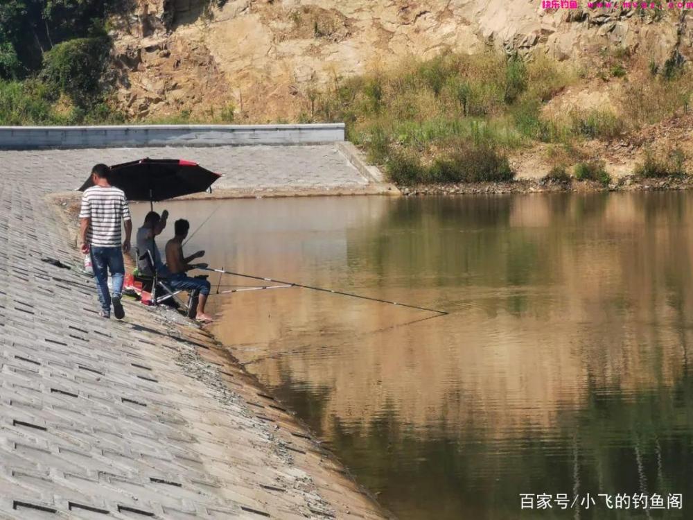 新手钓鲢鳙指南：认真做好这6点，就能让你快速钓到鱼！(图2)