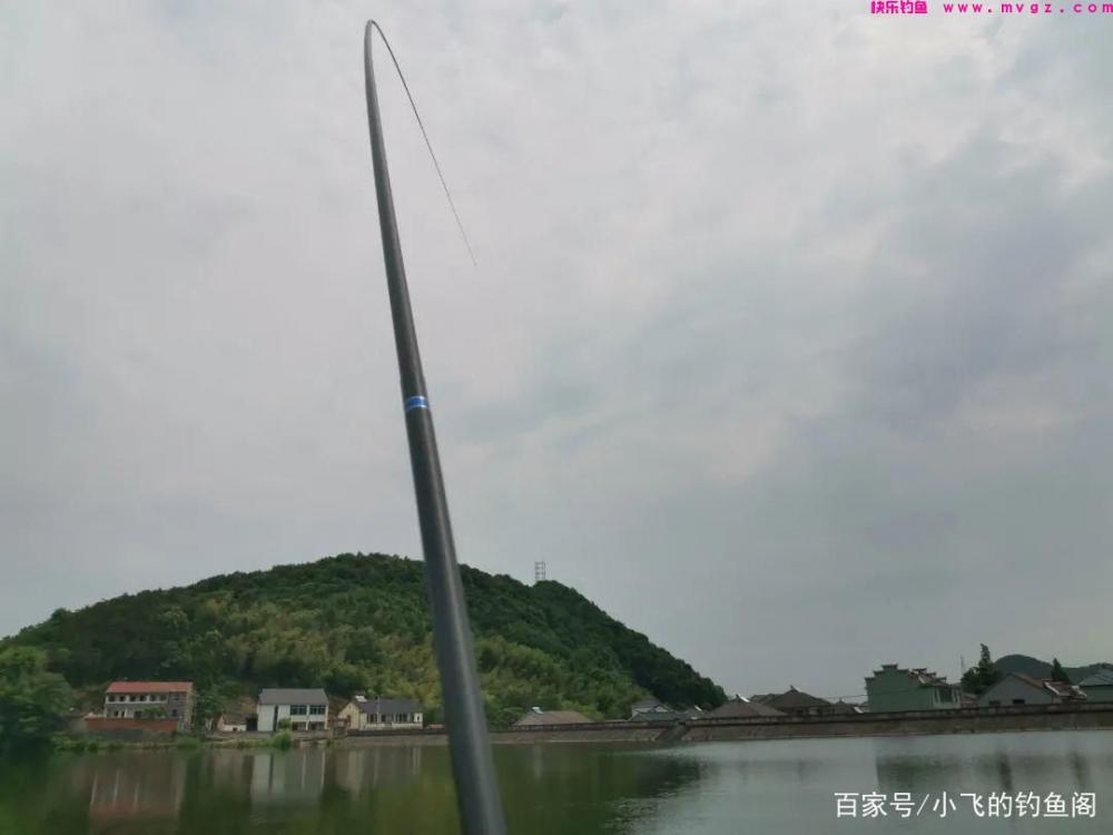 新手钓鲢鳙指南：认真做好这6点，就能让你快速钓到鱼！(图4)