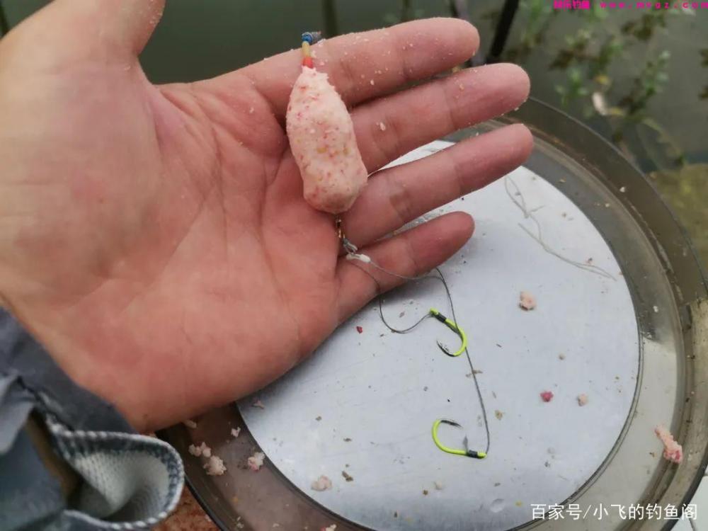 新手钓鲢鳙指南：认真做好这6点，就能让你快速钓到鱼！(图5)
