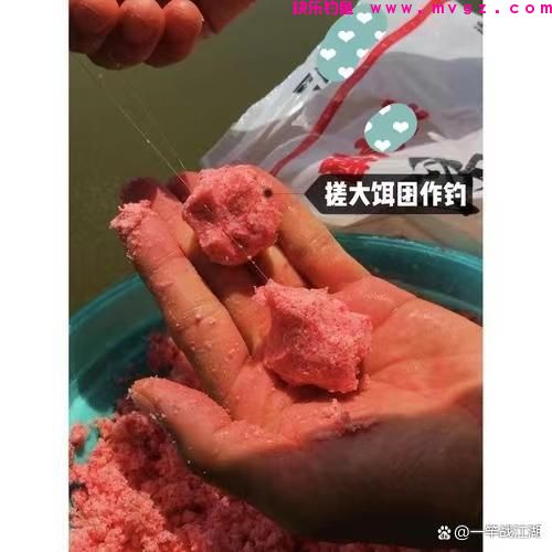 手竿钓鲢鳙子线和饵料的一些小窍门，手竿钓鲢鳙子线长短有诀窍(图2)