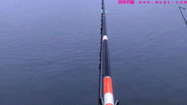 盛夏才是钓鲢鳙的好时节，这些“秘诀”要学会，鲢鳙爆护不是难事(图3)