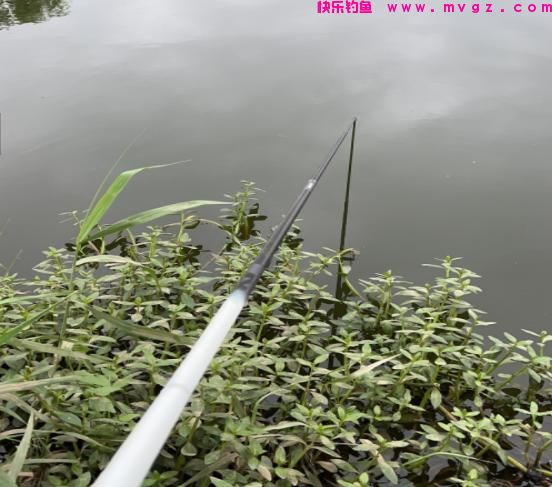 钓鲢鳙6个实用技巧，如何做到不再锚鱼？钩距、水层影响中鱼几率