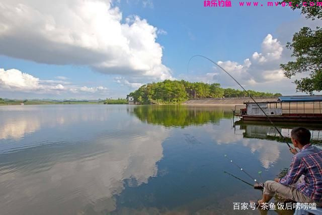 夏钓鲢鳙，这3个点，你注意到了吗？(图1)