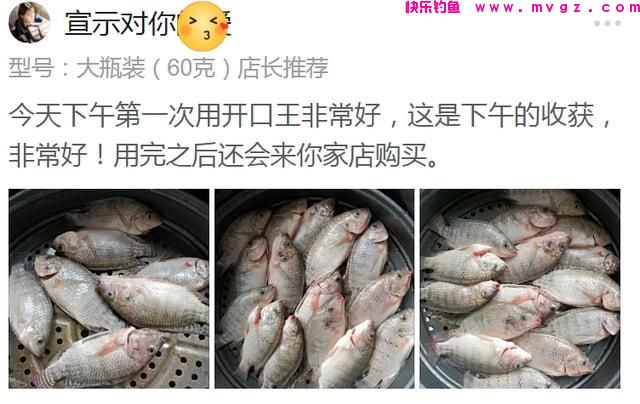 高温天气,野钓就要钓鲢鳙,用这套“独门秘籍”,连竿鲢鳙超过瘾(图14) 高温天气,野钓就要钓鲢鳙,用这套“独门秘籍”,连竿鲢鳙超过瘾(图14)