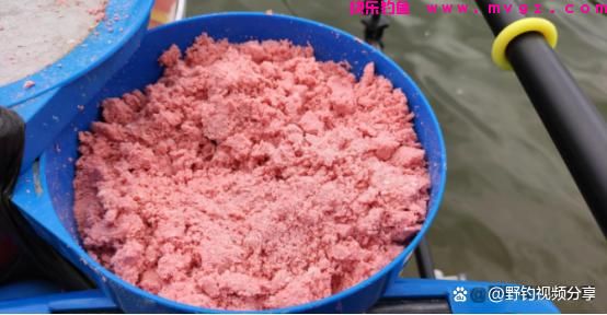 夏季手竿钓鲢鳙,教你3个“连竿秘诀”,学会了不愁大鱼不上钩(图5) 夏季手竿钓鲢鳙,教你3个“连竿秘诀”,学会了不愁大鱼不上钩(图5)