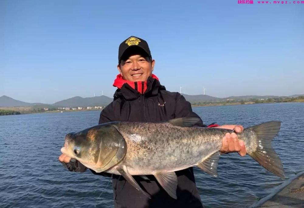 夏季钓鲢鳙，新手掌握好这三点，你也能盘老板(图1)