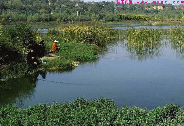 如何选择鲢鳙钓位？四个步骤去筛选，快速锁定好钓点(图1)