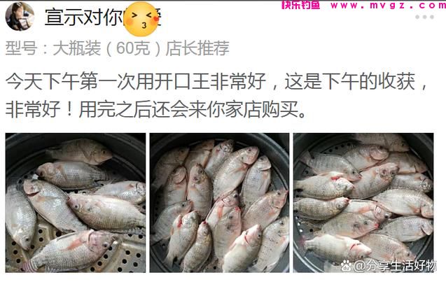 教你自制饵料钓鲢鳙，味道奇特无比，却能让鲢鳙欲罢不能连杆不断(图8)