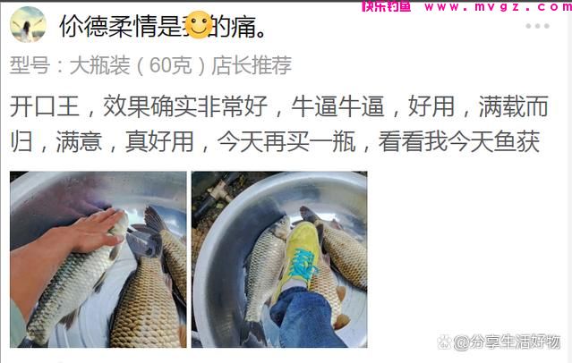 教你自制饵料钓鲢鳙，味道奇特无比，却能让鲢鳙欲罢不能连杆不断(图9)