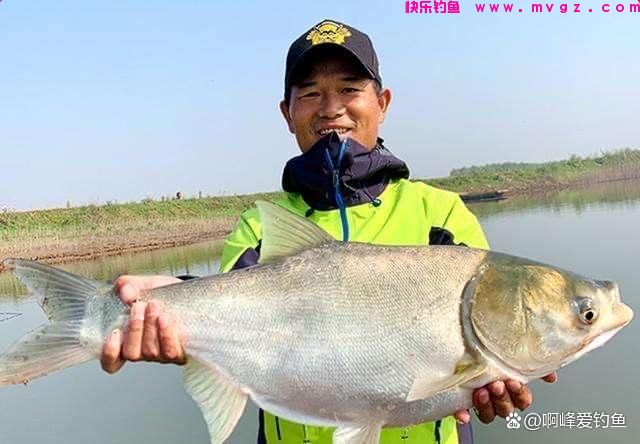 一盘一个准，邓刚高价钓鱼，还能成功换牲口，是剧情还是真有技术(图6)