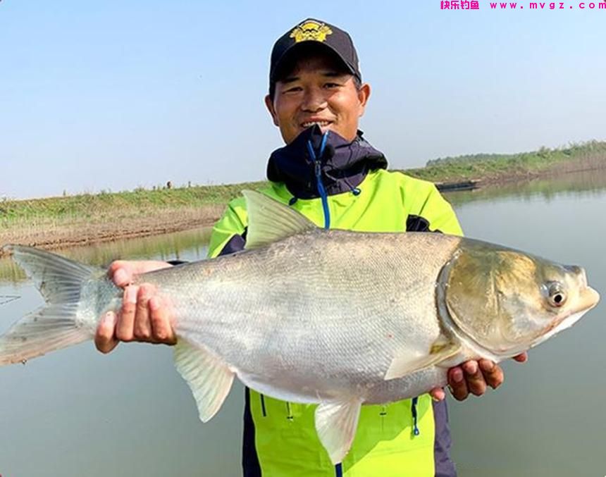 垂钓鲢鳙，除了要学习“邓氏钓法”，这几个技巧也很关键
