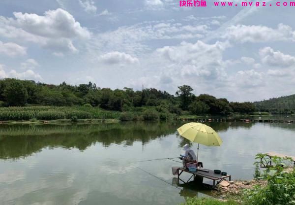狂拔鲢鳙最爽的一次，却不是用的专业鲢鳙饵料！起因来自一只羊(图3)