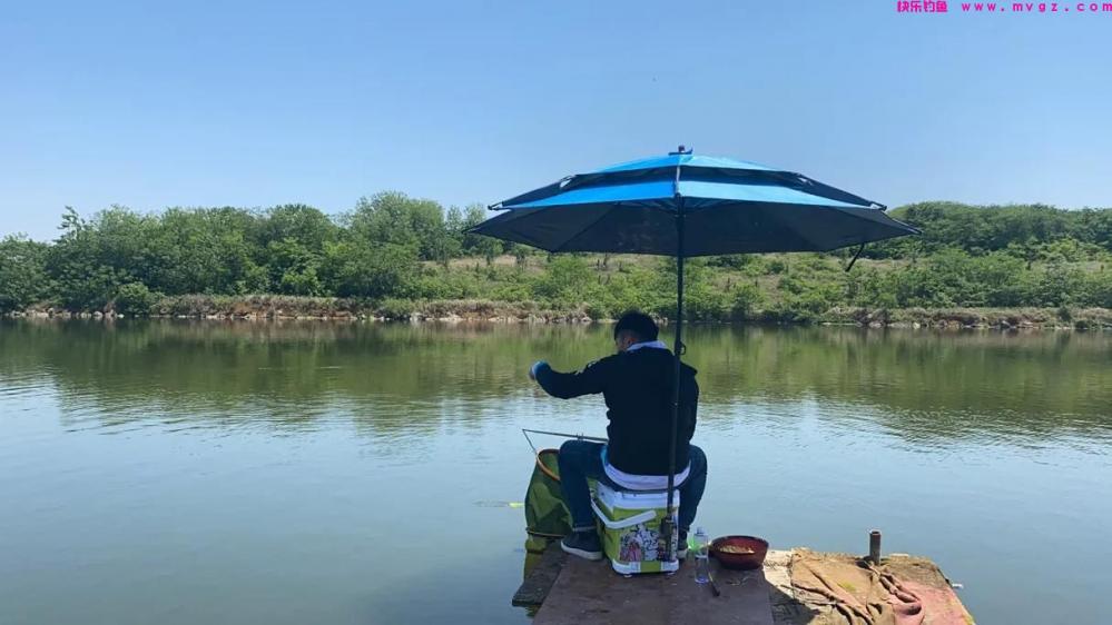 鲢鳙钓的好无非掌握了这几个要点，往往你错的只是其中的一种(图2)