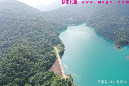 收费水库为何不能钓鲢鳙？老板说：别耽误我钓“人”！(图1)