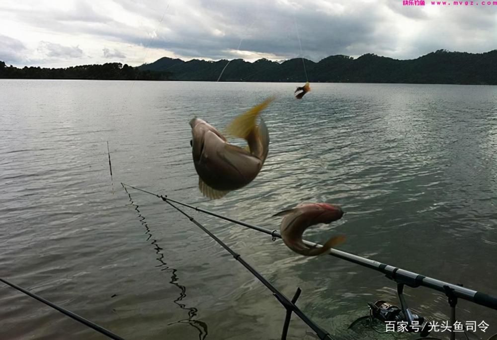 收费水库为何不能钓鲢鳙？老板说：别耽误我钓“人”！(图6)