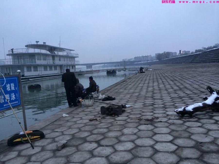 冬季鲢鳙难钓吗？实战经验让我打破了这个偏见(图4)
