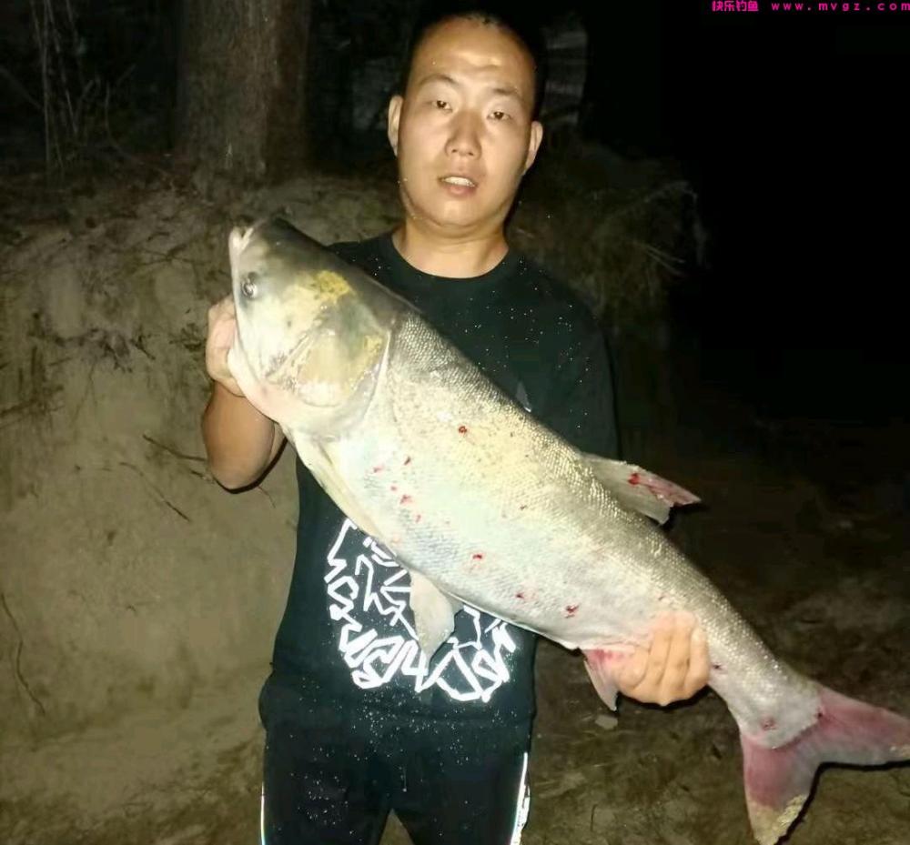 浮漂上下晃动却钓不到鱼，换细线小钩还不行，其实是它来闹窝了！(图1)