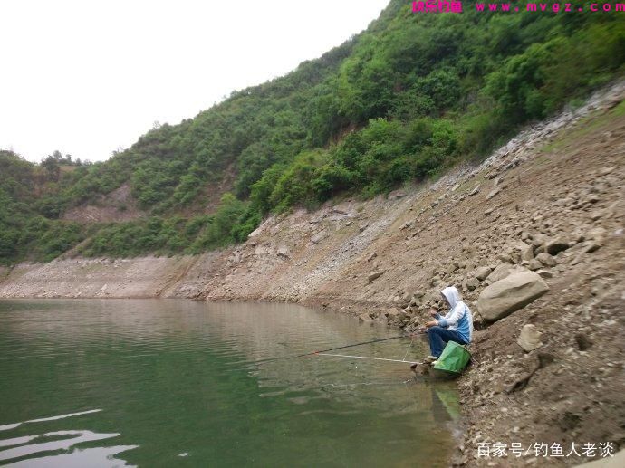 要想钓好鲢鳙，如果不注意这4个细节，再牛的饵料也钓不到鱼(图7)
