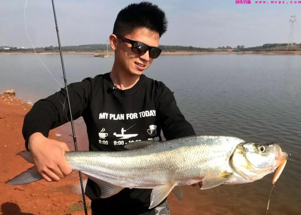 浮钓鲢鳙翘嘴的5个小技巧，野钓黑坑都有奇效，每次都能爆护(图2)