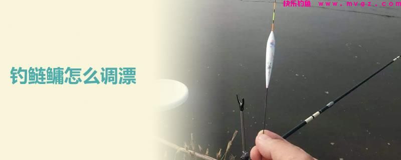 钓鲢鳙怎么调漂?高手教学,非常实用!(图1) 钓鲢鳙怎么调漂?高手教学,非常实用!(图1)