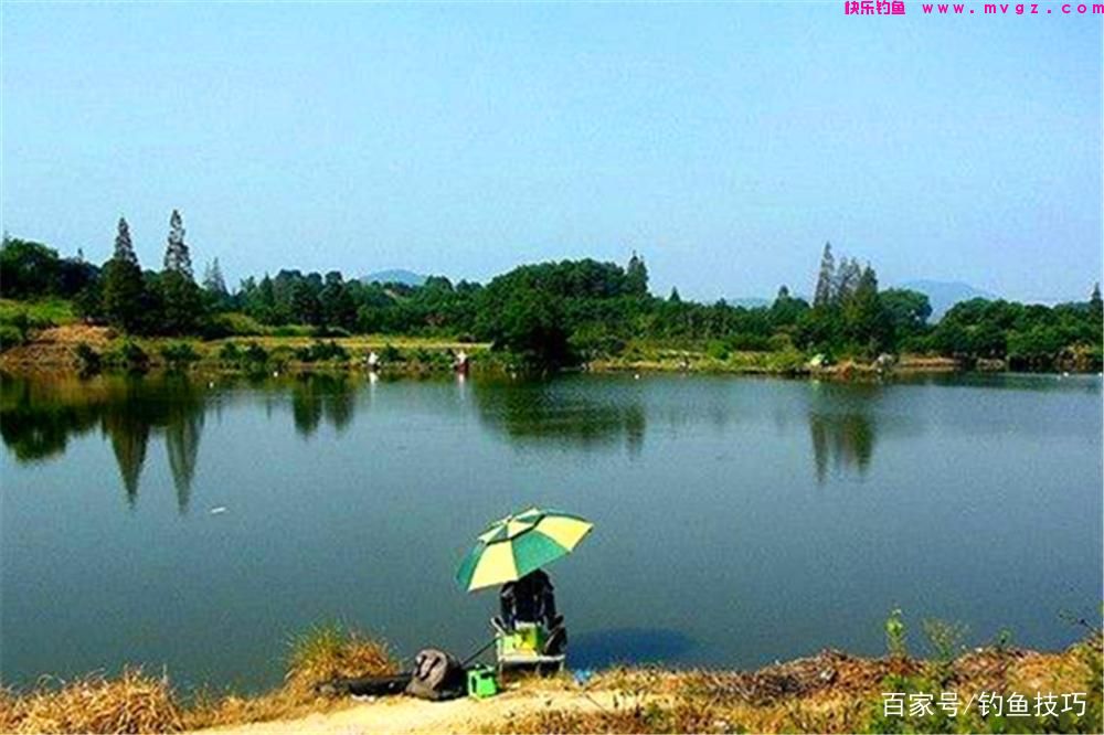 盛夏钓鲢鳙,选择钓位的4个技巧,鲢鳙无鱼道,钓位可以这样选!(图4) 盛夏钓鲢鳙,选择钓位的4个技巧,鲢鳙无鱼道,钓位可以这样选!(图4)