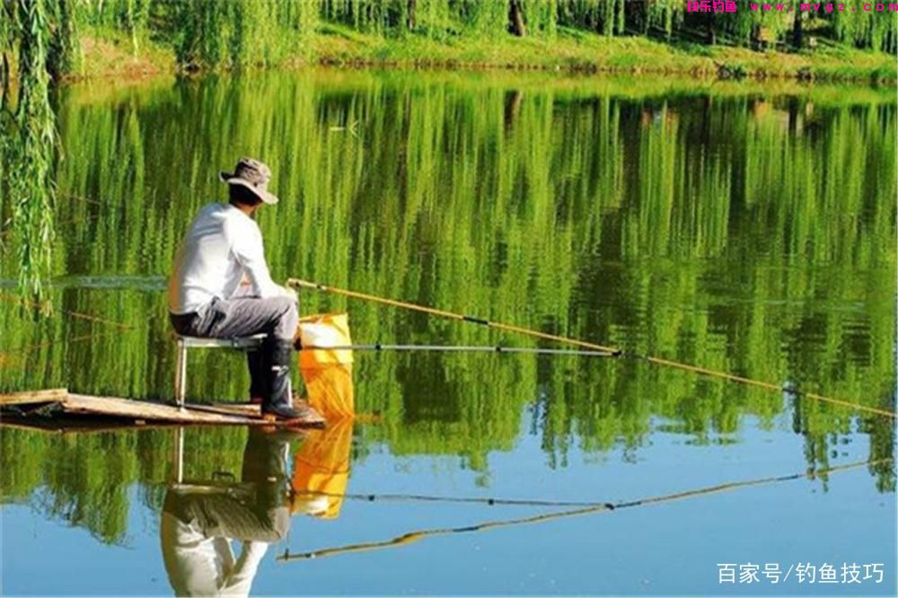 盛夏钓鲢鳙,选择钓位的4个技巧,鲢鳙无鱼道,钓位可以这样选!(图3) 盛夏钓鲢鳙,选择钓位的4个技巧,鲢鳙无鱼道,钓位可以这样选!(图3)
