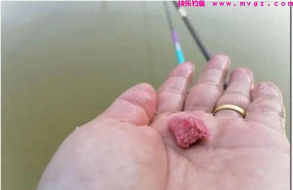 新手想要钓到鲢鳙，而不是锚到它，该怎么办？基础教你如何正确钓(图11)
