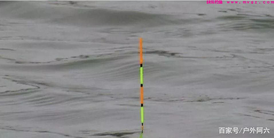 谈谈手竿浮钓鲢鳙时浮漂的选择，水库钓鱼户外野钓大头鱼选浮漂(图2)