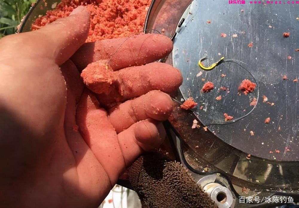 钓鲢鳙，记住这6步，轻松学会“正确”钓鲢鳙，对新手钓友很有用(图4)