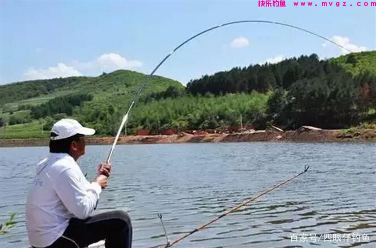 都说中午难钓鱼，三招教你破僵局(图3)