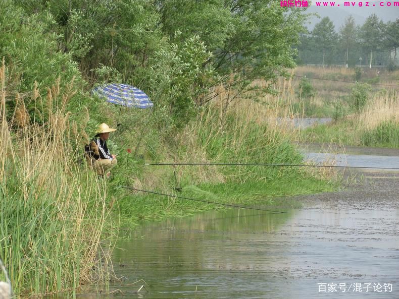 盛夏钓鲢鳙五步走,上鱼几十斤不成问题(图2) 盛夏钓鲢鳙五步走,上鱼几十斤不成问题(图2)
