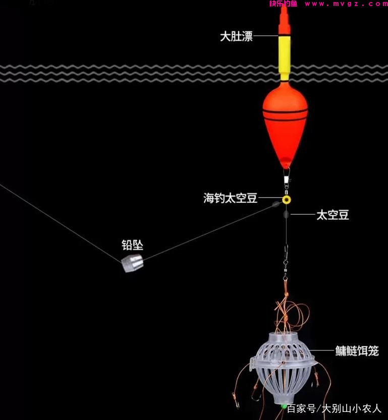 夏天来了可以钓鲢鳙了，这2种最稳当，最高效的方法介绍给你(图3)
