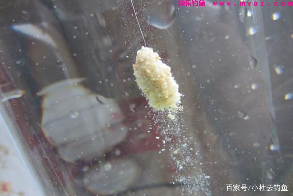 钓鲢鳙鱼注意好这些细节，只要掌握好方法，实际操作不会差