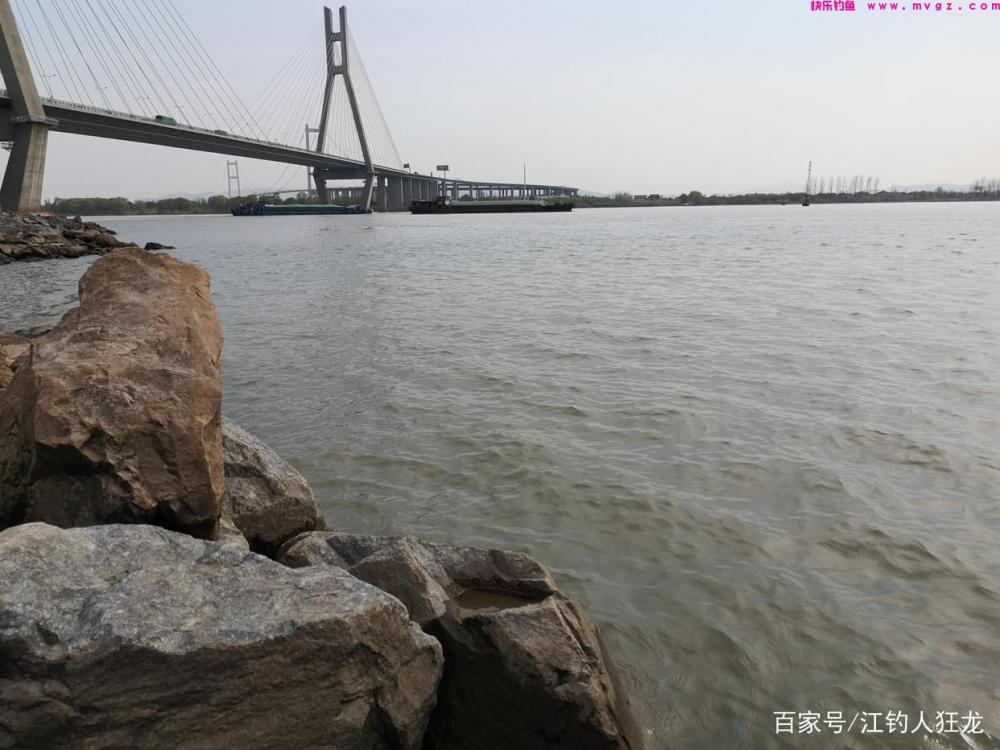 江里钓鲢鳙，掌握了这些门道，其实就是钓傻瓜鱼(图2)