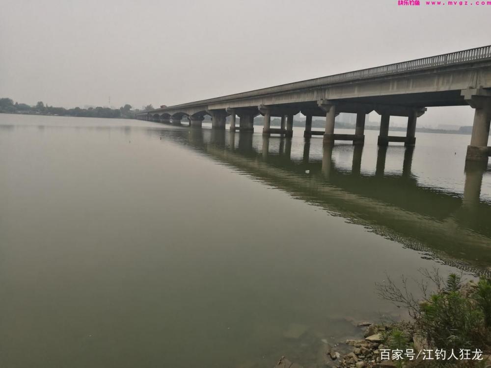 江里钓鲢鳙，掌握了这些门道，其实就是钓傻瓜鱼(图7)