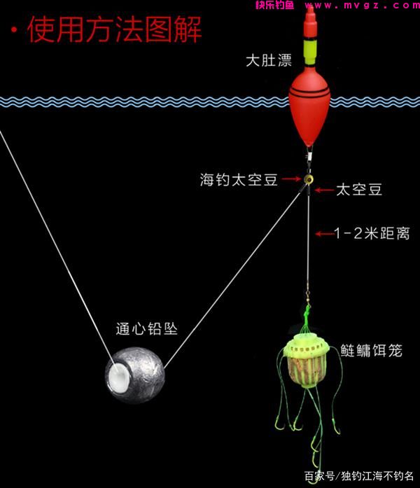 身经百战总结出来的鲢鳙钓法，想吃剁椒鱼头的快看看(图2)