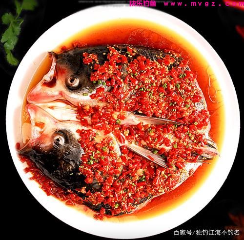 身经百战总结出来的鲢鳙钓法，想吃剁椒鱼头的快看看(图1)